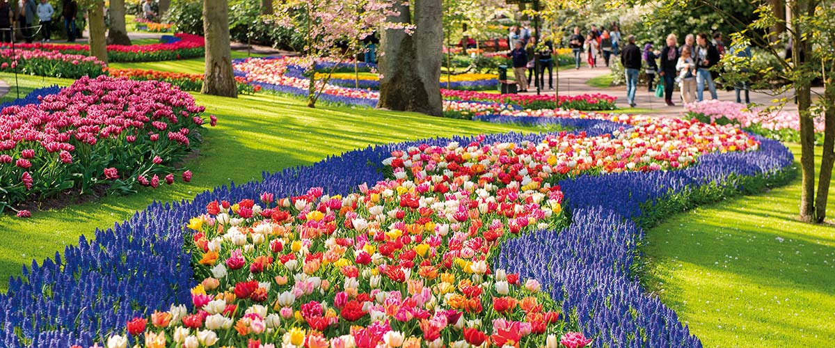 Keukenhof Gardens in full bloom